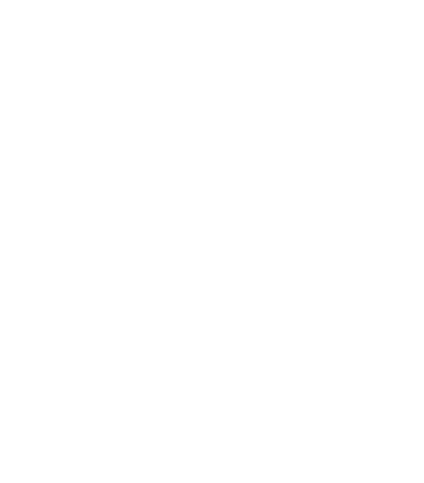 PUZZLE: A Cryptographic Brand